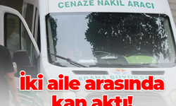 İki aile arasında kan aktı! 2 kardeş öldürüldü