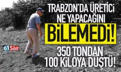 Trabzon'da üretici ne yapacağını bilemedi! 350 tondan, 100 kiloya düştü