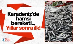 Karadeniz'de hamsi bereketi... Yıllar sonra ilk kez!