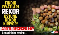 Fındık fiyatı rekor üstüne rekor kırıyor.. 400 TL'yi geçer mi?