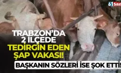 Trabzon'da 2 ilçede şap vakası... Başkan'ın sözleri ise şok etti!