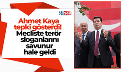 Ahmet Kaya tepki gösterdi!  Mecliste terör sloganlarını savunur hale geldi