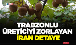 Trabzonlu üreticiyi zorlayan İran detayı!