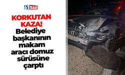 Korkutan kaza! Belediye başkanının makam aracı domuz sürüsüne çarptı!