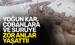 Yoğun kar, çobanlara ve sürüye zor anlar yaşattı!