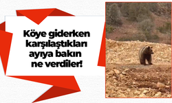 Köye giderken karşılaştıkları ayıya bakın ne verdiler!