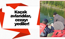 Kaçak avlandılar, cezayı yediler!