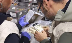 Van’da skandal gıda operasyonu: Bozuk ürünleri lokum diye satacaklardı!