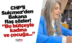 CHP'li Suiçmez'den Bakana flaş sözler! "Bu bütçeyle kadına ve çocuğa..."