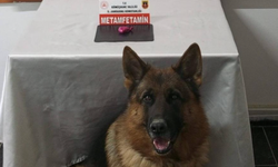 Gümüşhane’de uyuşturucu operasyonu!