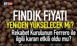 Fındık fiyatı yeniden yükselecek mi? İşte son gelişmeler...
