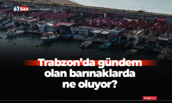 Trabzon'da gündem olan barınaklarda ne oluyor?
