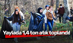 Yaylada 1,4 ton atık toplandı!