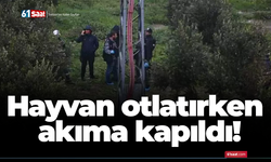 Hayvan otlatırken akıma kapıldı!