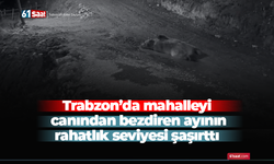 Trabzon’da mahalleyi canından bezdiren ayının rahatlık seviyesi şaşırttı