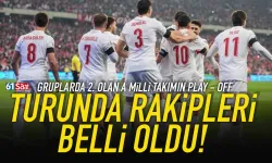 A Milli Takım’ın muhtemel rakipleri netleşti