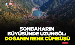 Sonbaharın büyüsünde Uzungöl: Doğanın renk cümbüşü