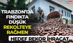 Trabzon'da 3'lü kıskaçtaki fındıkta düşük rekolteye rağmen hedef rekor ihracat!