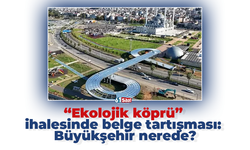 “Ekolojik köprü” ihalesinde belge tartışması: Büyükşehir nerede?