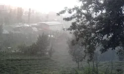 Bölgemizde kuraklıkla mücadeleye çare..