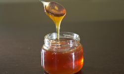 Doğu Karadeniz'den Bal İhracatında Rekor Seviye