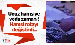 Ucuz hamsiye veda zamanı! Hamsi rotayı değiştirdi...