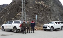 Artvin’de kaçak avcılığa karşı denetimleri sürüyor