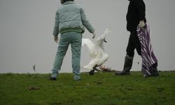 Samsun’da yaban hayatına merhamet eli