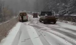Yoğun kar yolları kapattı