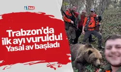 Trabzon'da ilk ayı vuruldu! Yasal av başladı