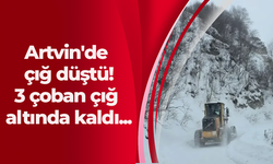 Artvin'de çığ düştü!  3 çoban çığ altında kaldı