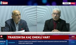 Trabzon'da kaç emekli var?