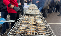 Hamsi festivalinde tam 7 ton hamsi dağıtıldı!