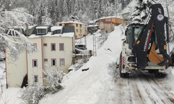 Doğu Karadeniz’e beyaz ziyaret!