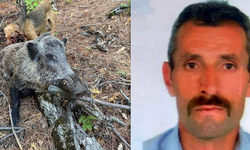 Trabzonlu isim domuz saldırısı sonucu hayatını kaybetti!