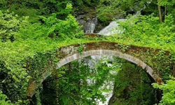 Şalpazarı'nda kaderine terk edilen 2200 yıllık taş kemer köprü...