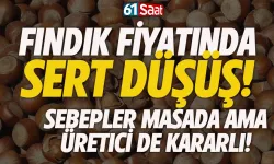 Fındık fiyatında sert düşüş! Ferrore'nin alım politikası