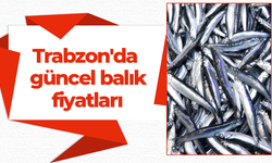 Trabzon'da güncel balık fiyatları