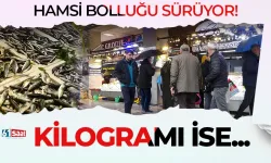 Karadeniz’de hamsi bolluğu sürüyor, kilogramı ise...