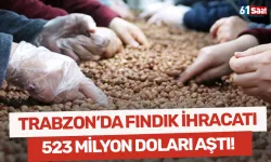 Trabzon'un 11 aylık fındık ihracatı 523 milyon doları aştı!