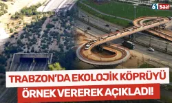 Trabzon'da ekolojik köprünün nasıl olacağını örnek göstererek açıkladı!