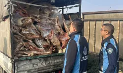 Kamyonet kasasında kilolarca bozuk et ele geçirildi
