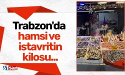 Trabzon'da hamsi ve istavrit 100 liradan satılıyor!