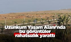 Uzunkum Yaşam Alanı'nda bu görüntüler rahatsızlık yarattı