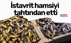 İstavrit hamsiyi tahtından etti