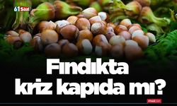 Fındıkta kriz kapıda mı?