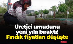 Üretici umudunu yeni yıla bıraktı! Fındık fiyatları düşüşte