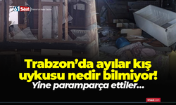 Trabzon’da ayılar kış uykusu nedir bilmiyor! Yine paramparça ettiler…