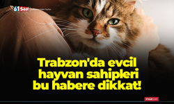 Trabzon'da evcil hayvan sahipleri bu habere dikkat!