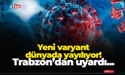 H3N2'nin yeni varyantı dünyada yayılıyor, uzmanlardan Türkiye için uyarı!